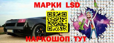 индика Гусев
