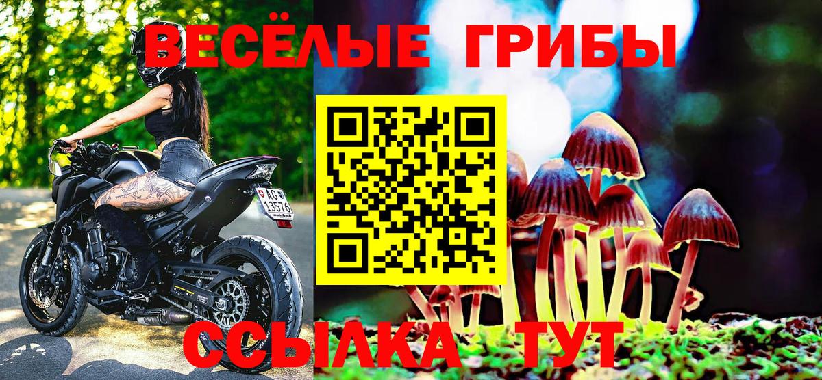Галлюциногенные грибы Psilocybe  Вход с VPN  Муром 